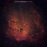 IC410, the Tadpoles Nebula